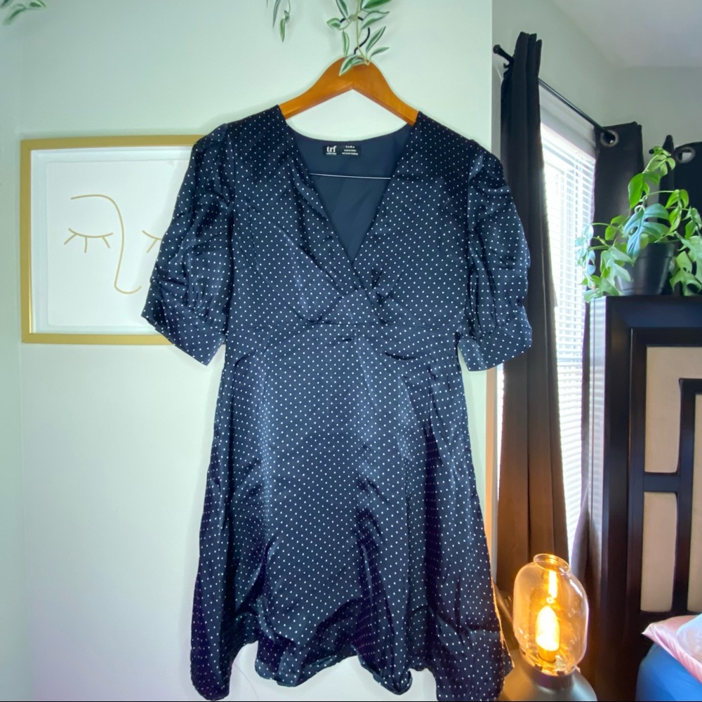 Navy and White Zara Dress
